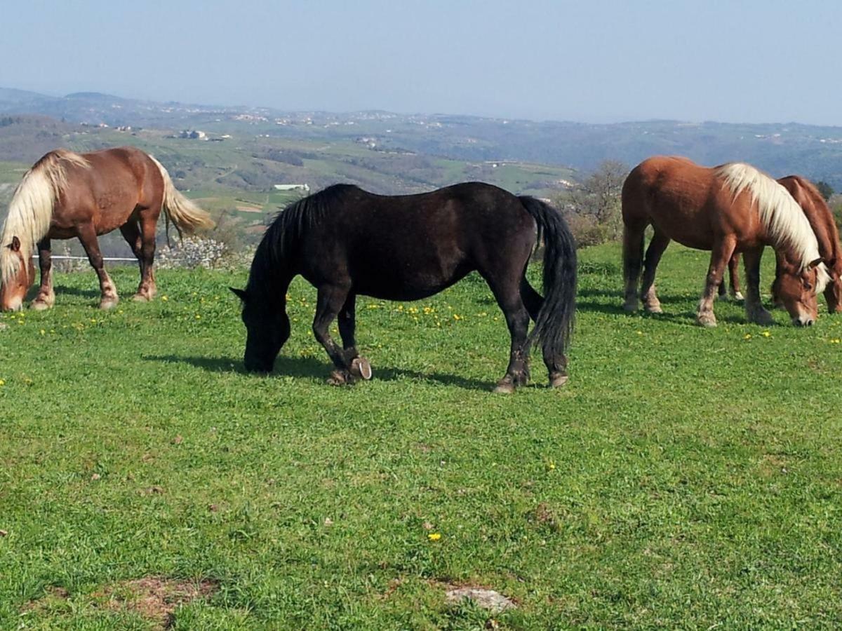 Ferme De La Bonnefontaine Hotel Plats Kültér fotó